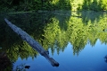 Alice Lake Provincial Park 'Stump Lake' 29_09_2011 (5)